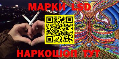 гидра Будённовск
