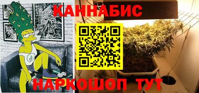 гидра Будённовск