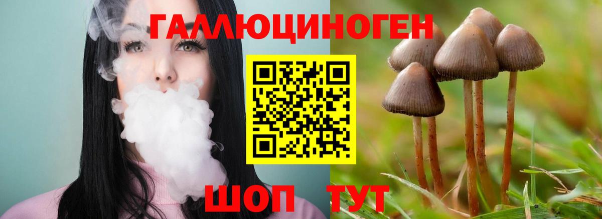 Галлюциногенные грибы ЛСД  Псилоцибиновые грибы Psilocybine cubensis  купить наркотик  Вход с VPN  Сафоново 