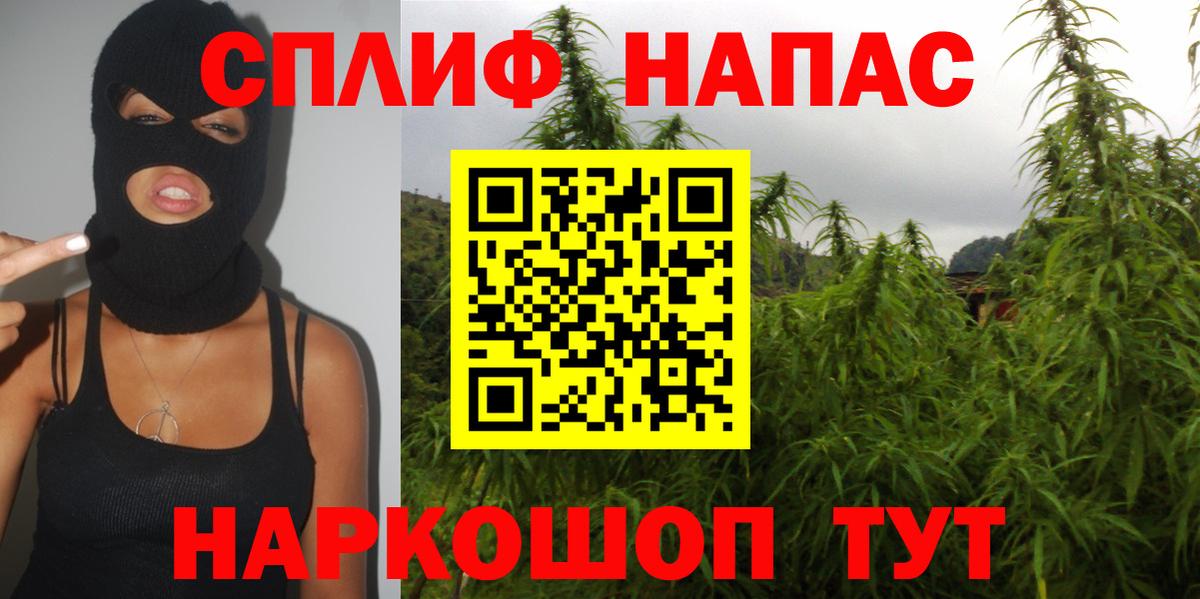 Конопля SATIVA & INDICA Сафоново